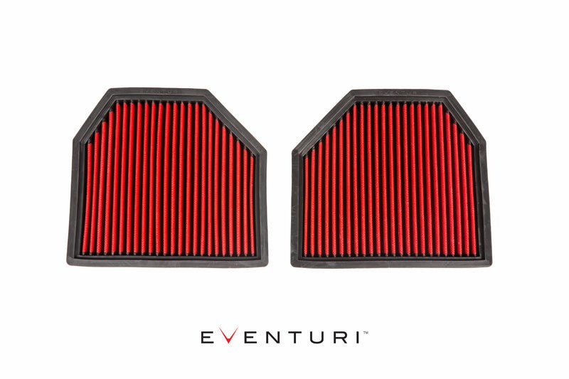 Eventuri Panel Filters - BMW F10 M5 | F06/F12/F13 M6 - Evolve Automotive